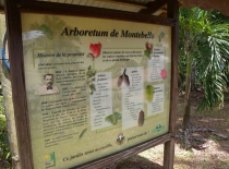 Aboretum Montebello - park miejski