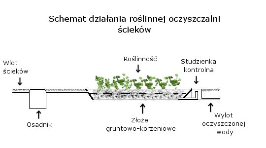 Schemat roślinnej oczyszczalni ścieków