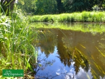 Rospuda atrakcją Podlasia